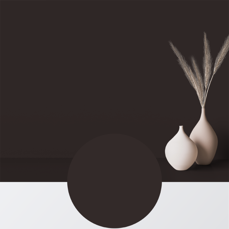 Picture of Paint - Colour W124 Mörk choklad