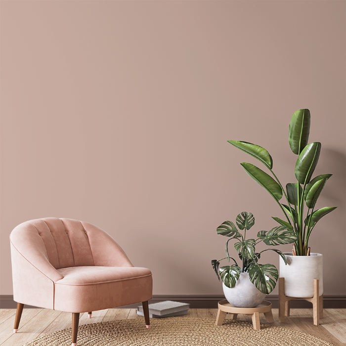 Picture for category Rosa rom