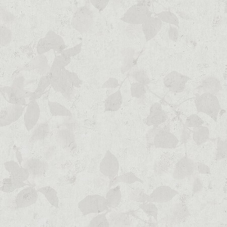 Picture of Alma - 3955