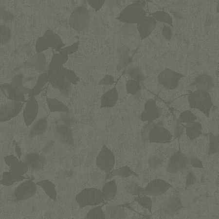 Image de Alma - 3956