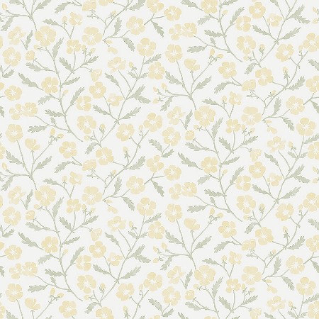 Picture of Mira - 3965