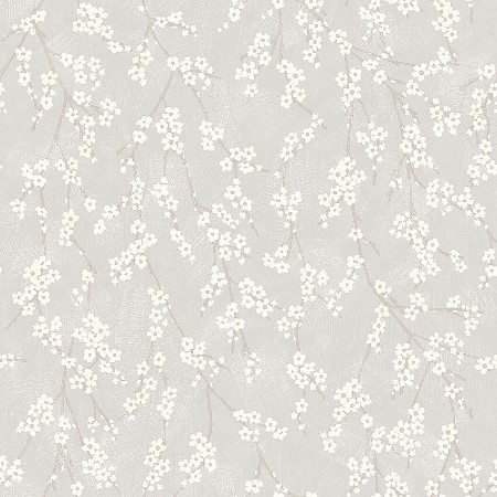 Picture of Alice - 3979