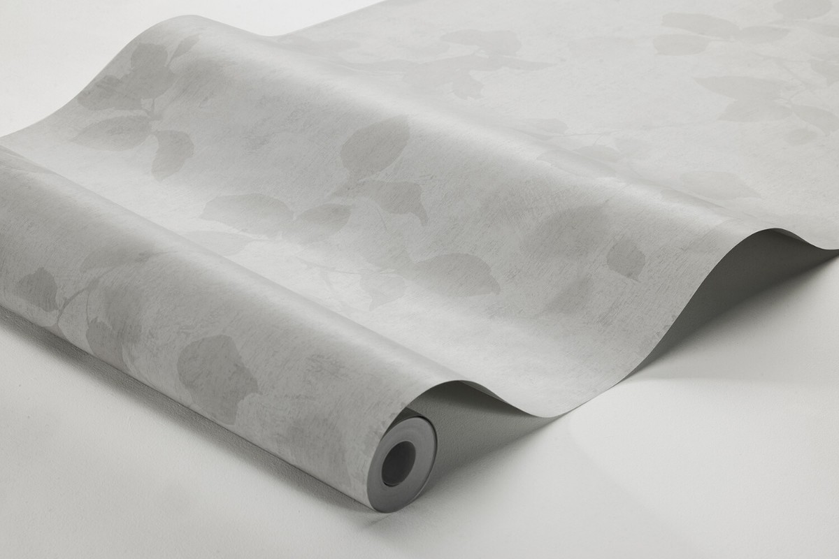 Picture of Alma - 3954