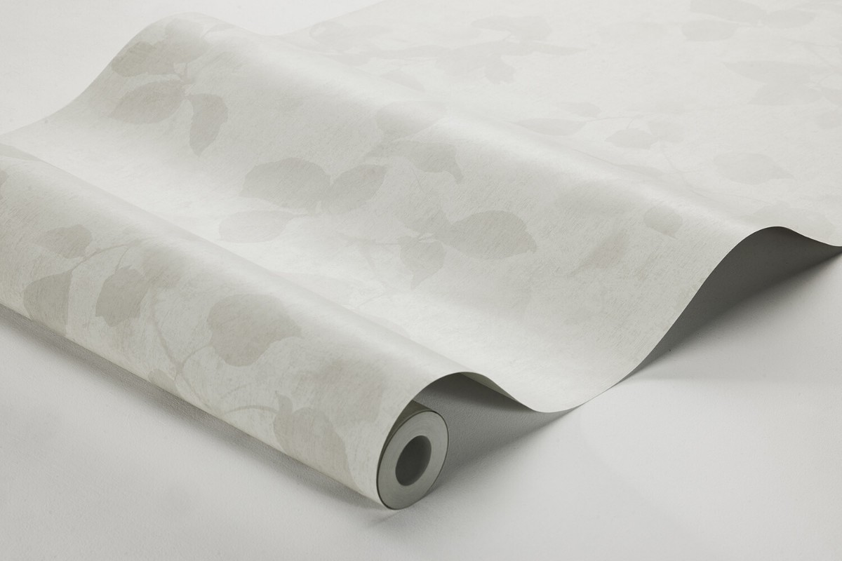 Picture of Alma - 3955