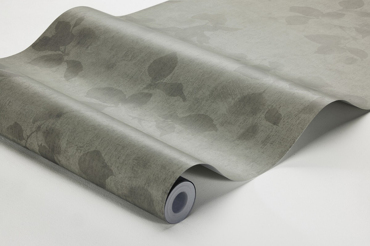 Image de Alma - 3956