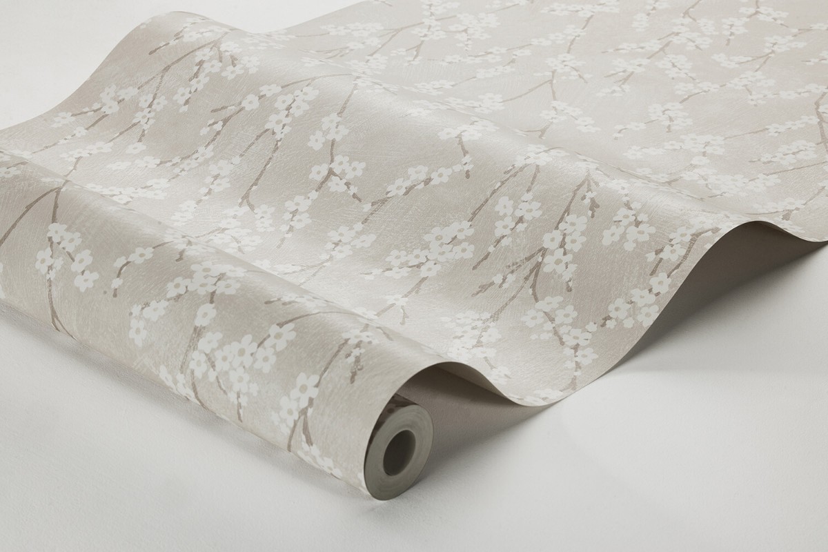 Picture of Alice - 3977