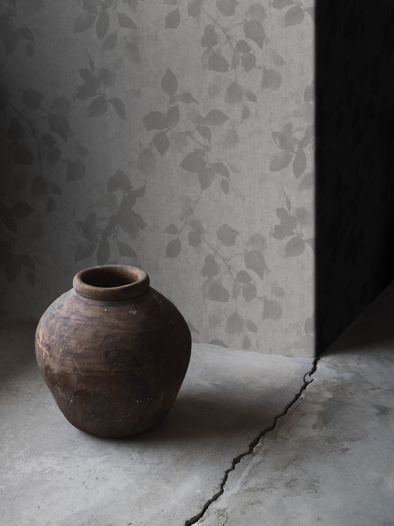 Picture of Alma - 3953