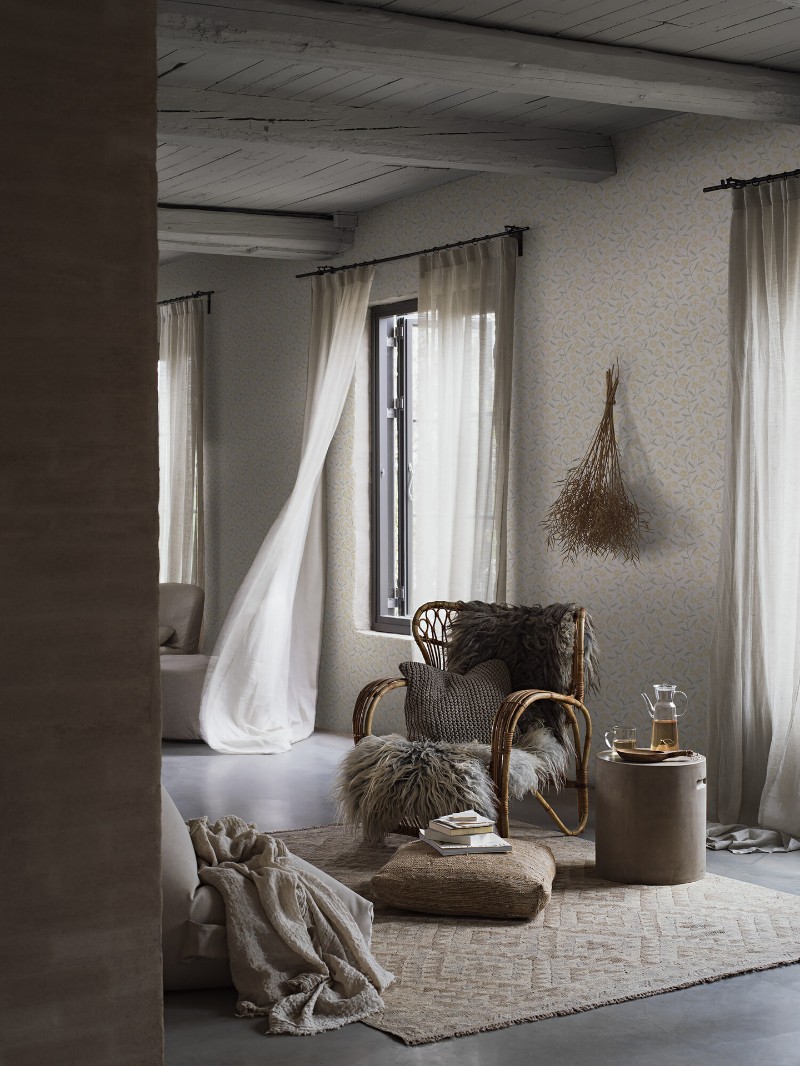 Picture of Mira - 3965