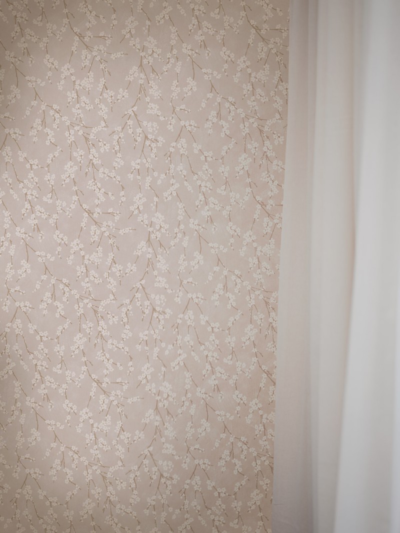 Picture of Alice - 3977