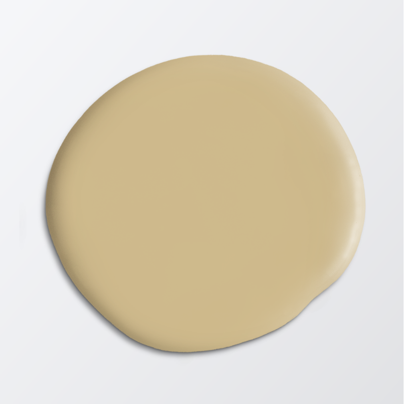 Picture of Stair paint - Colour W50 Videknopp