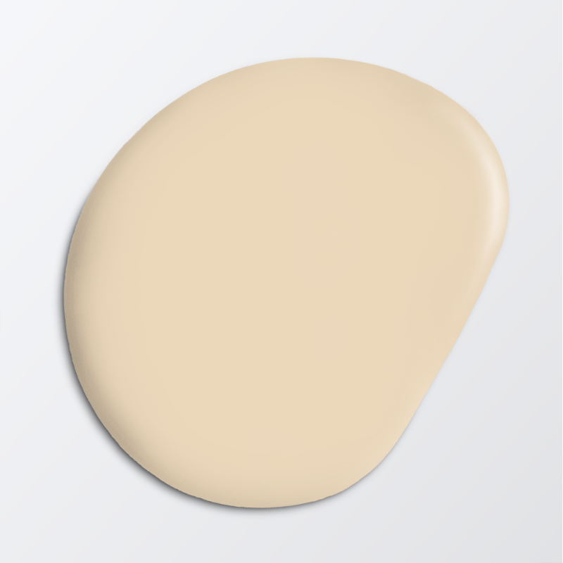 Picture of Stair paint - Colour W119 Kaffeskum