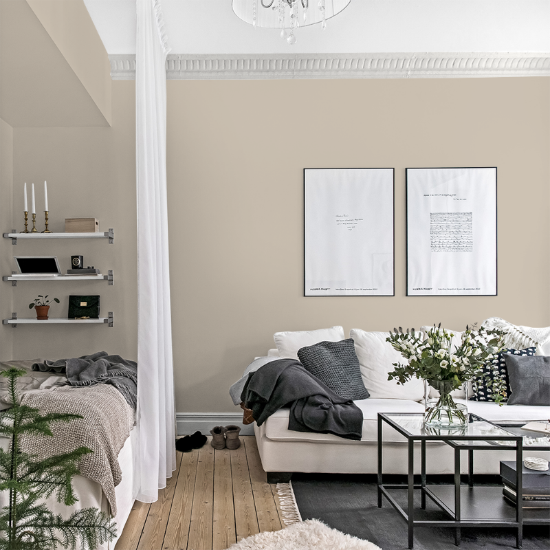 Picture of Väriyhdistelmä - Nova F-001-00081-01