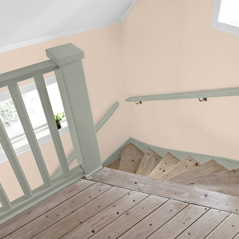 Image de Coloration - Dagmar F-001-00103-02