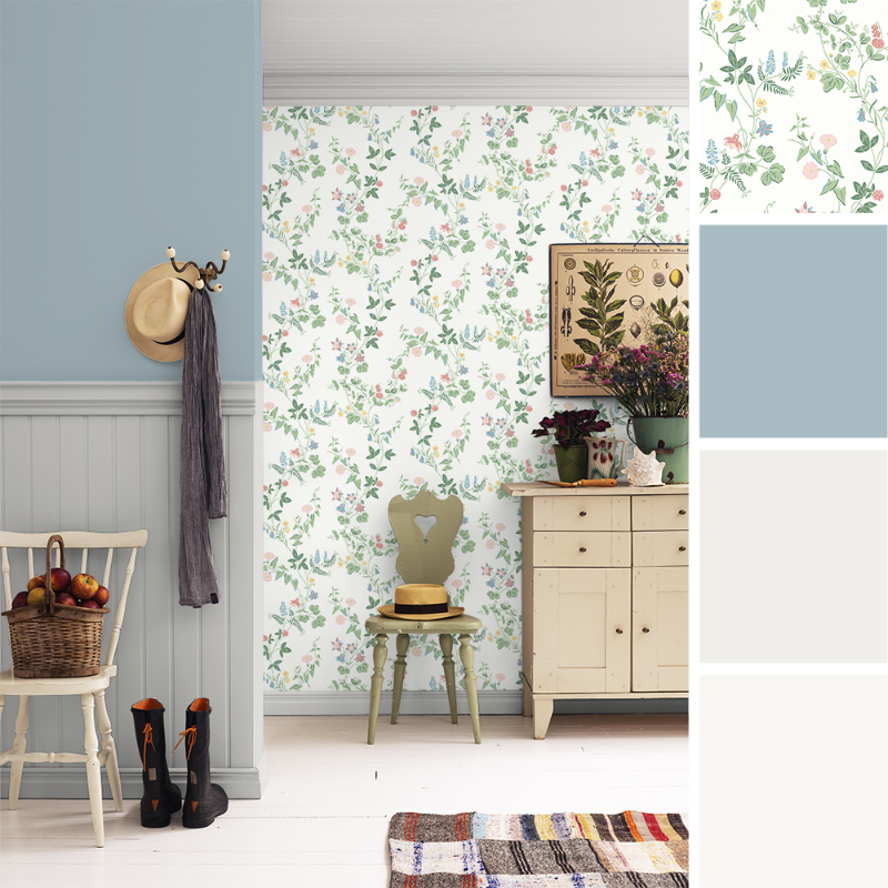 Image de Coloration - Wilma T-001-00066-01