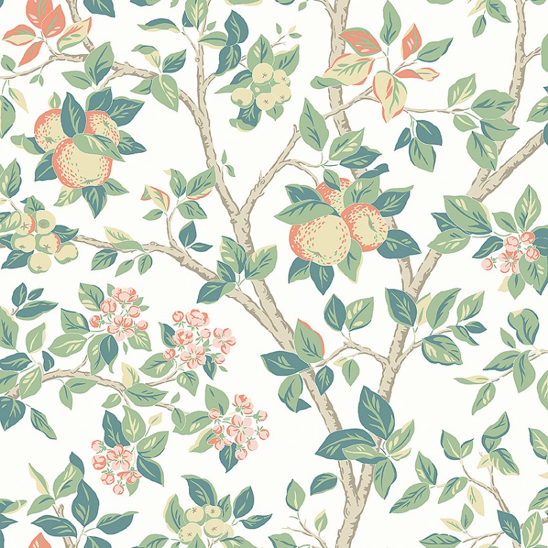 Image de Coloration - Wilma T-001-00060-01