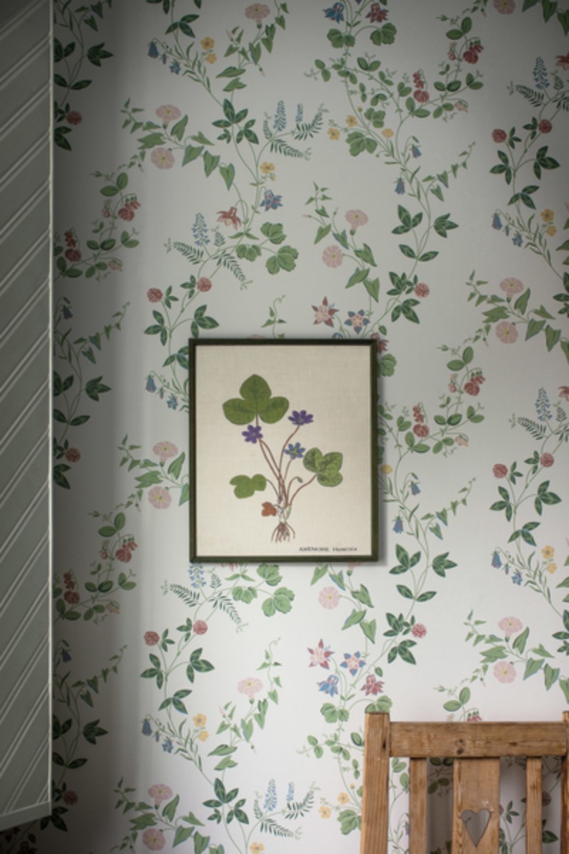 Picture of Väriyhdistelmä - Wilma T-001-00066-02