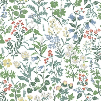 Image de Flora - 4180