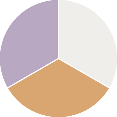 Picture of Färgsättning - Lisette F-001-00141-04