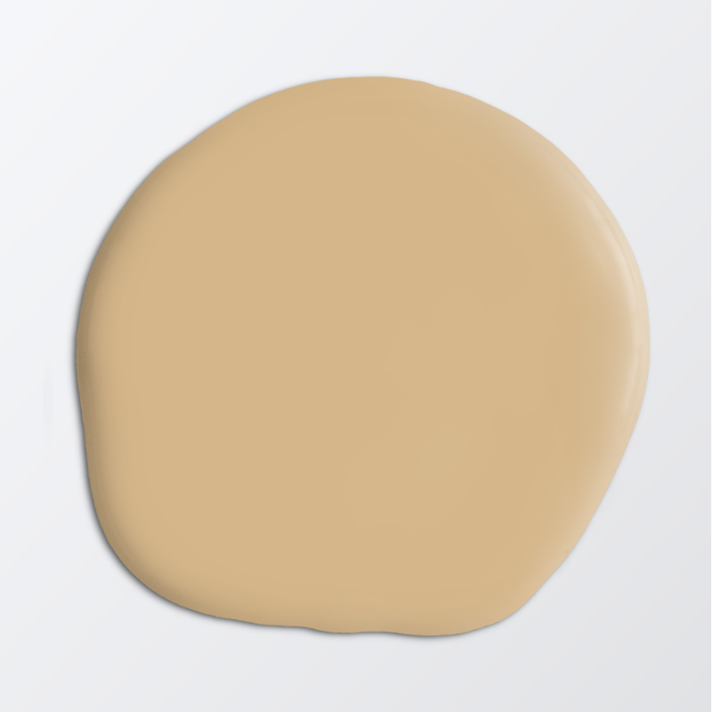Image de Peinture - Couleur W153 Honey Cream by Anna Kubel