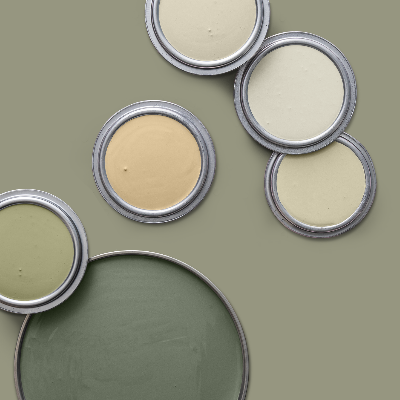 Image de Swatchkit Anna Kubel