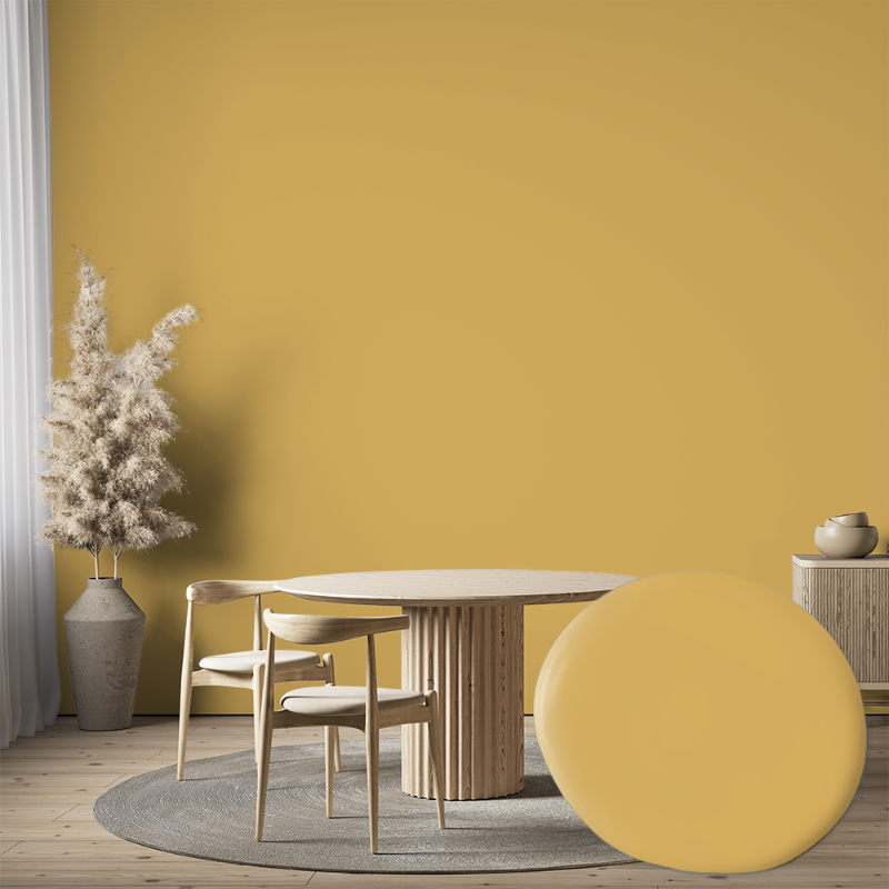 Picture of Wall paint - Colour W52 Curry