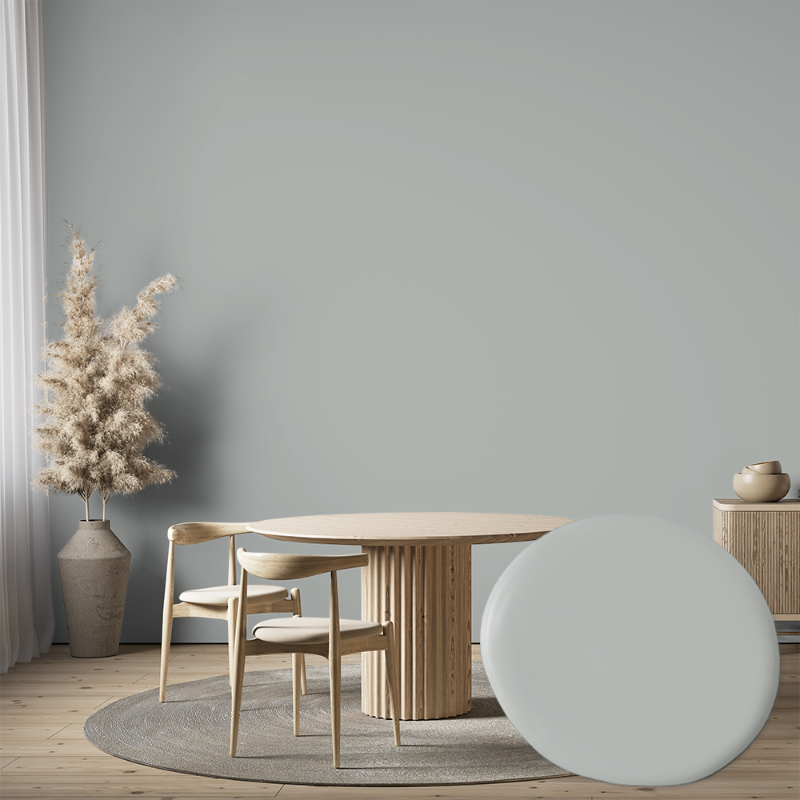 Afbeeldingen van Muurverf - Kleur W55 Isbad