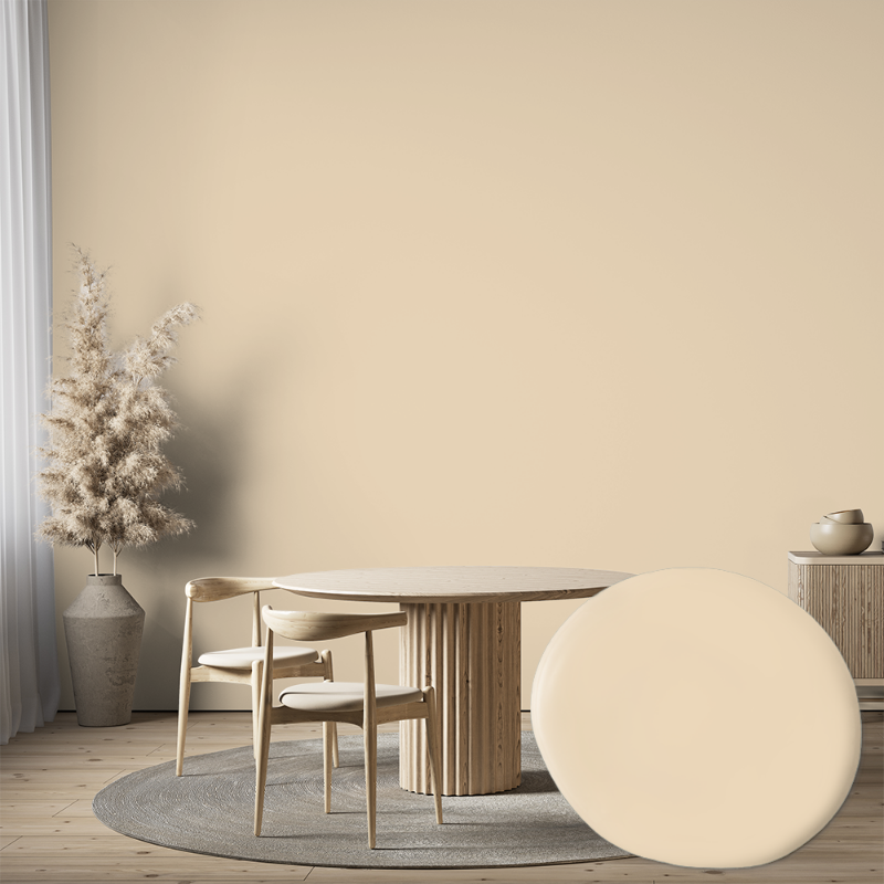 Picture of Wall paint - Colour W119 Kaffeskum