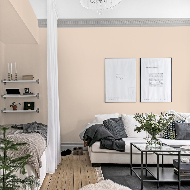 Picture of Coloring - Nova F-001-00114-02