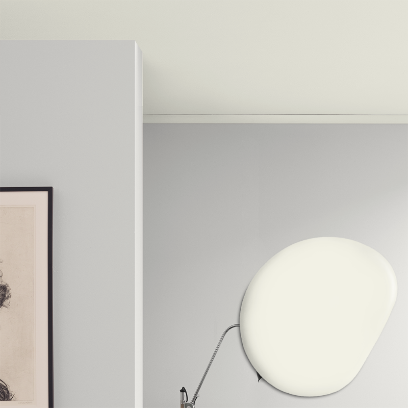 Image de Peinture pour plafond - Couleur W3 Videung