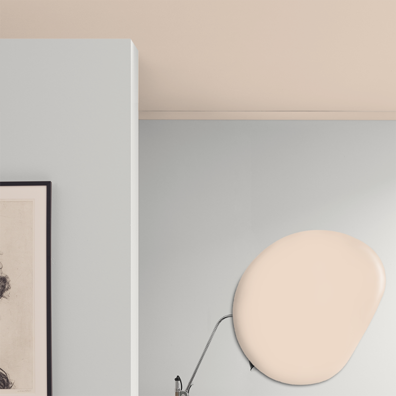 Picture of Ceiling paint - Colour W8 Tyll