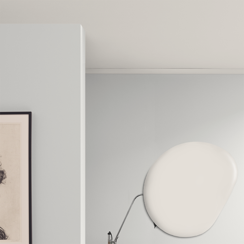 Image de Peinture pour plafond - Couleur W12 Renlav