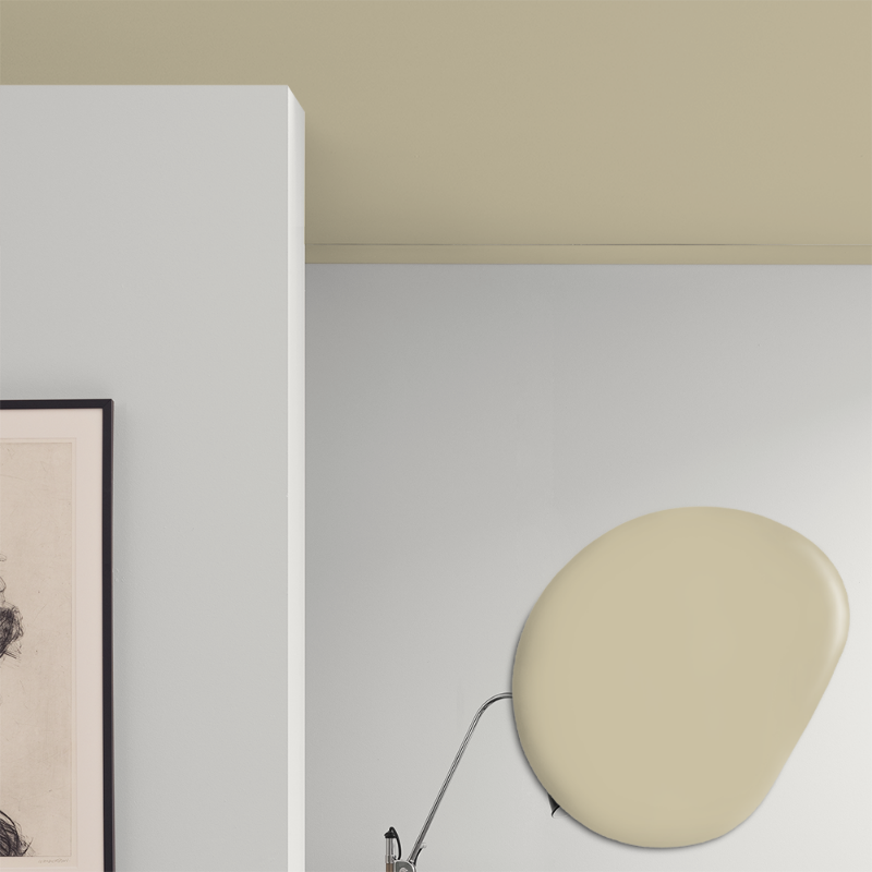 Picture of Ceiling paint - Colour W46 Päronglass