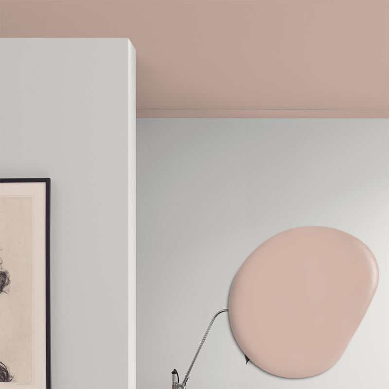 Picture of Ceiling paint - Colour W48 Rosa strössel