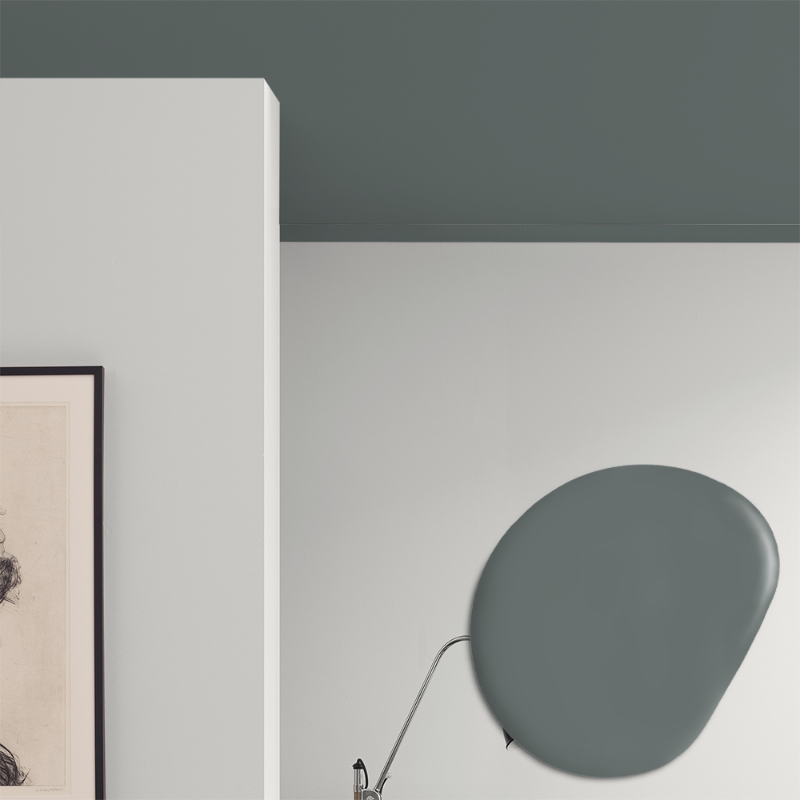 Image de Peinture pour plafond - Couleur W100 Alg