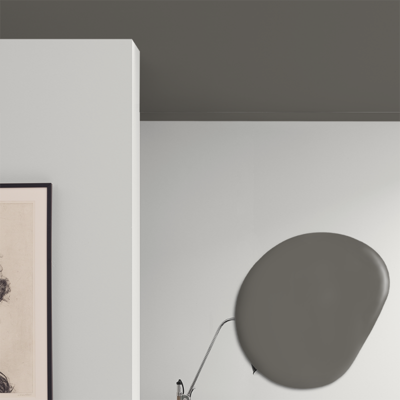 Afbeeldingen van Plafond verf - Kleur W105 Skymning