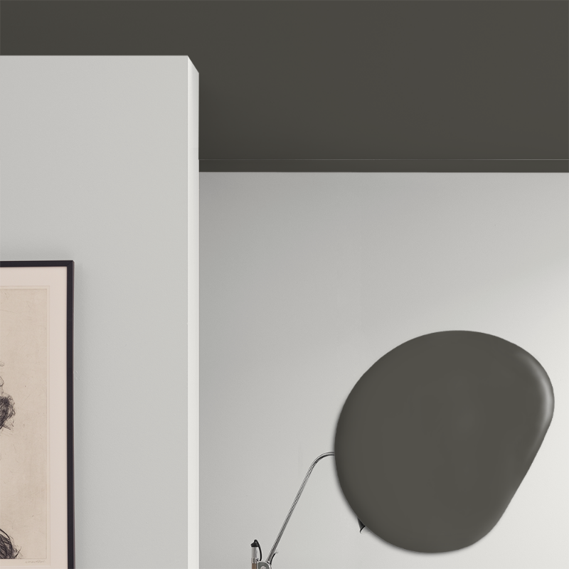 Picture of Ceiling paint - Colour W108 Lakrits