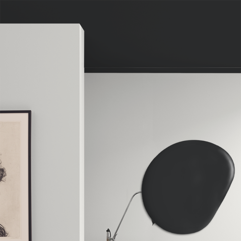 Image de Peinture pour plafond - Couleur W109 Sotsvart