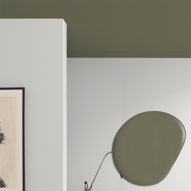 Afbeeldingen van Plafond verf - Kleur W115 Skogsmossa