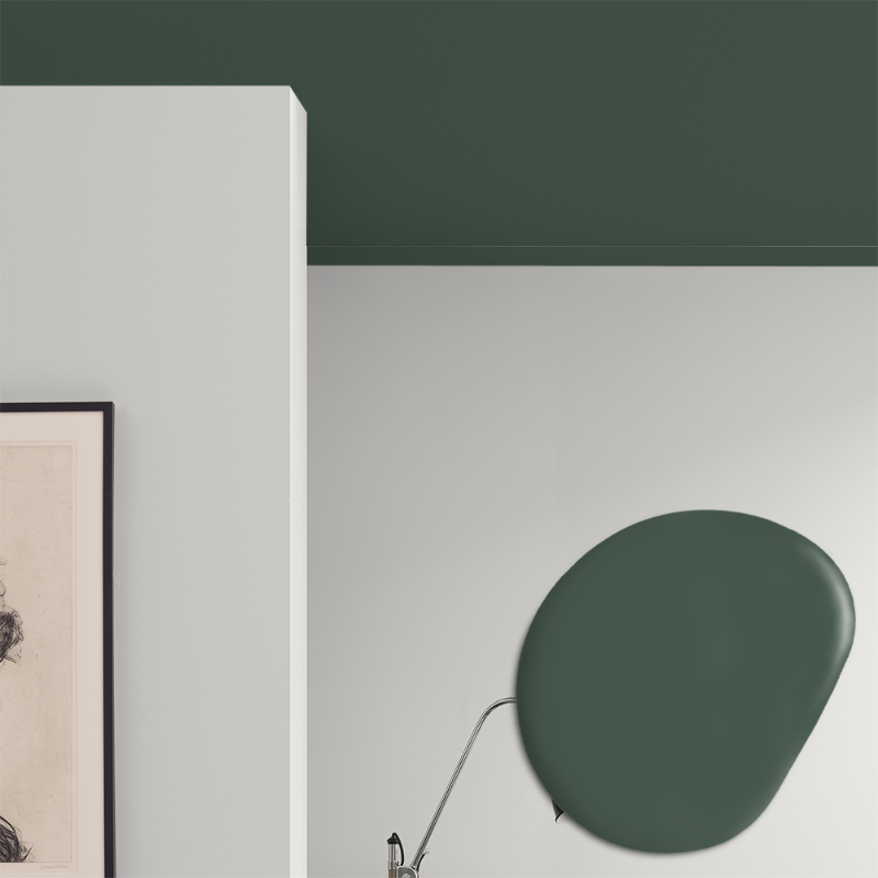 Afbeeldingen van Plafond verf - Kleur W118 Tallbarr