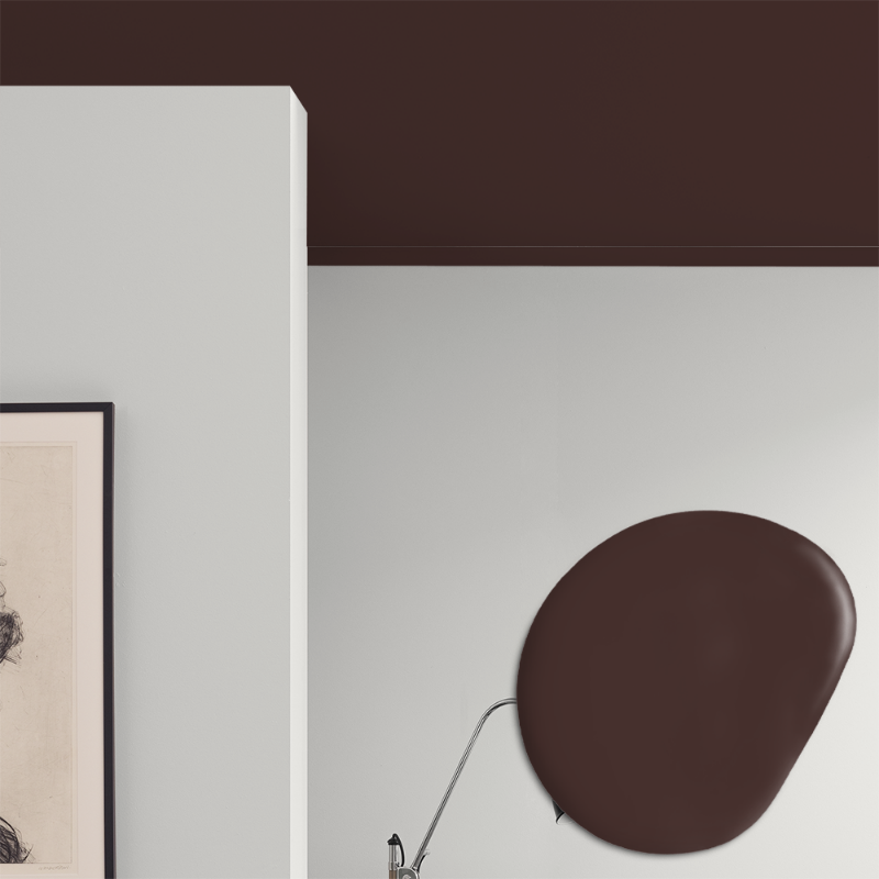 Afbeeldingen van Plafond verf - Kleur W123 Brända plommon