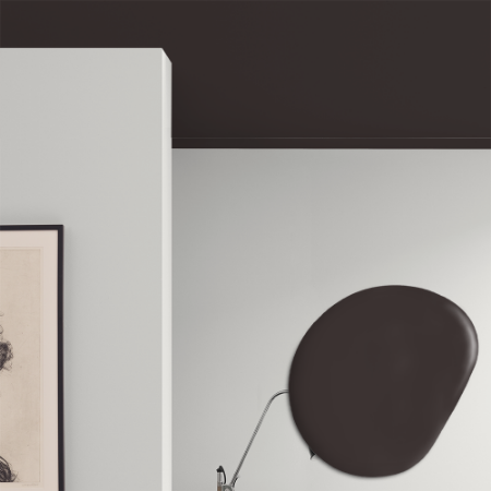 Picture of Takfärg - Kulör W124 Mörk choklad