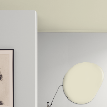 Picture of Takmaling - Farge W127 Madagaskar vit