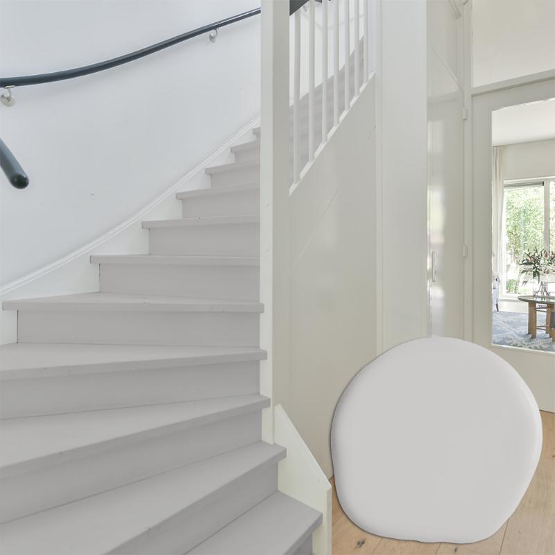 Afbeeldingen van Trap verf - Kleur W31 Silver