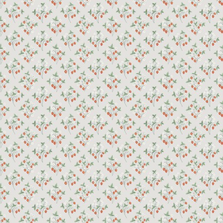 Immagine di Jordgubb - 43123