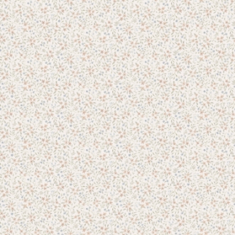 Image de Mini - 43129