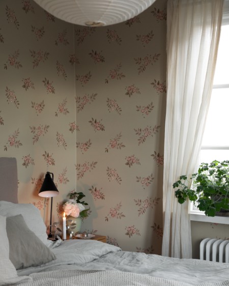 Image de Nyponros - 43113