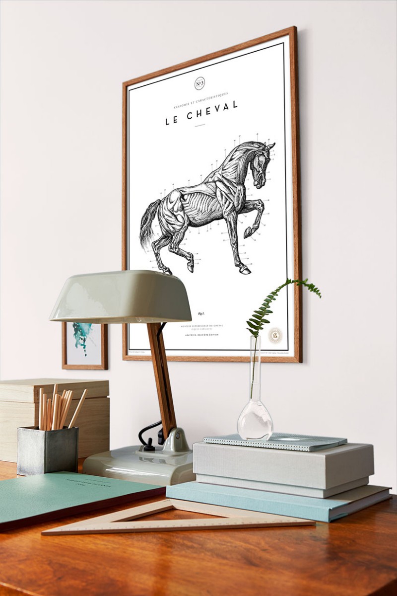 Picture of Bright White - 7950