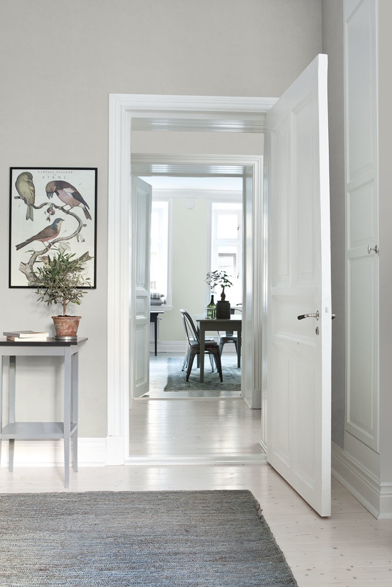 Image de Grey Feather - 7952