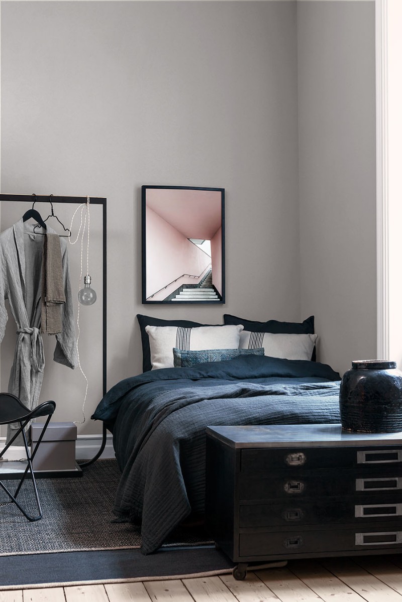 Picture of Ash - 7953