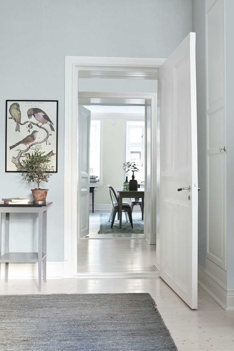 Afbeeldingen van Sky Blue - 7982